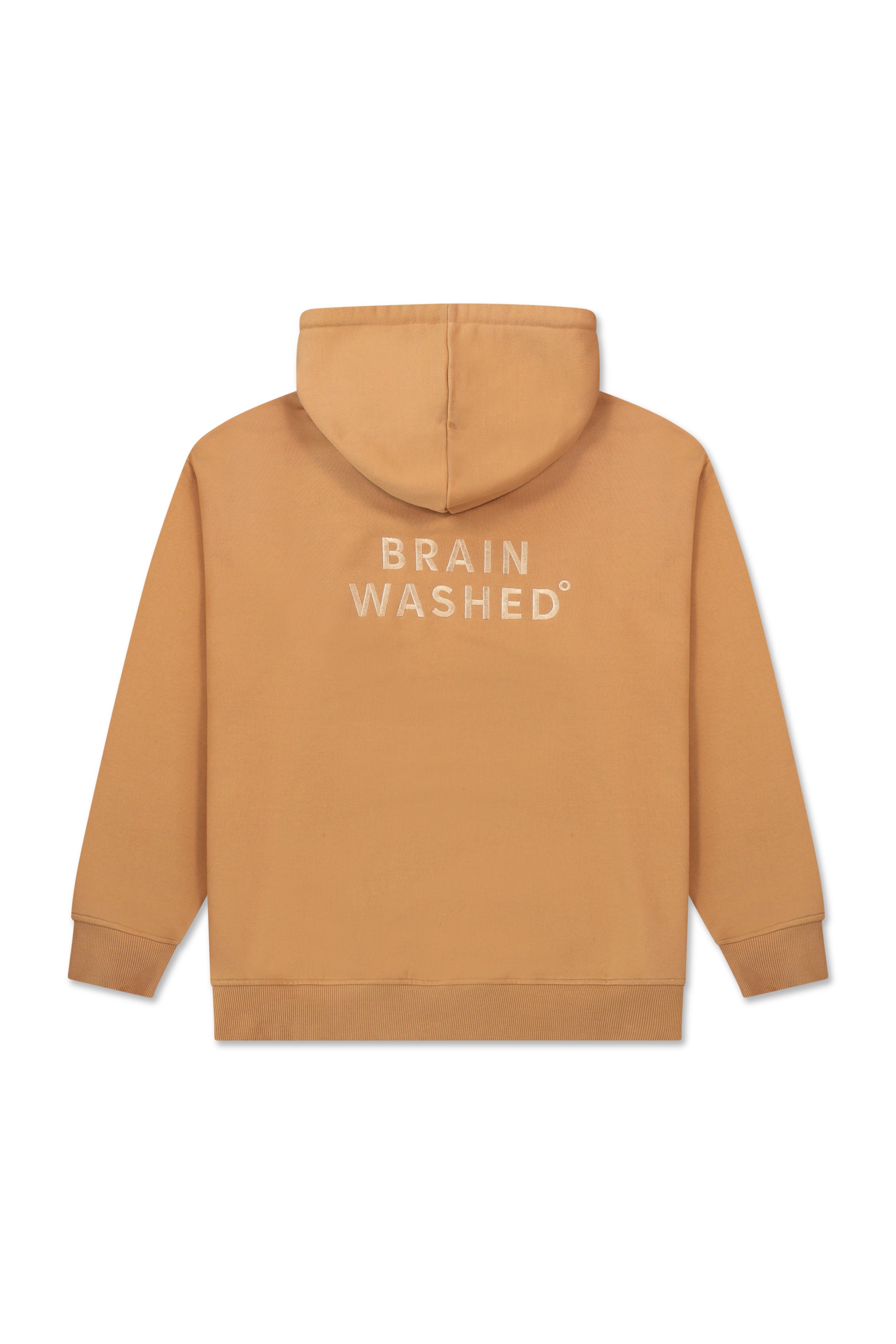 THIRTY DEGREES - קפוצ'ון BRAIN WASHED HOODIE TD0303