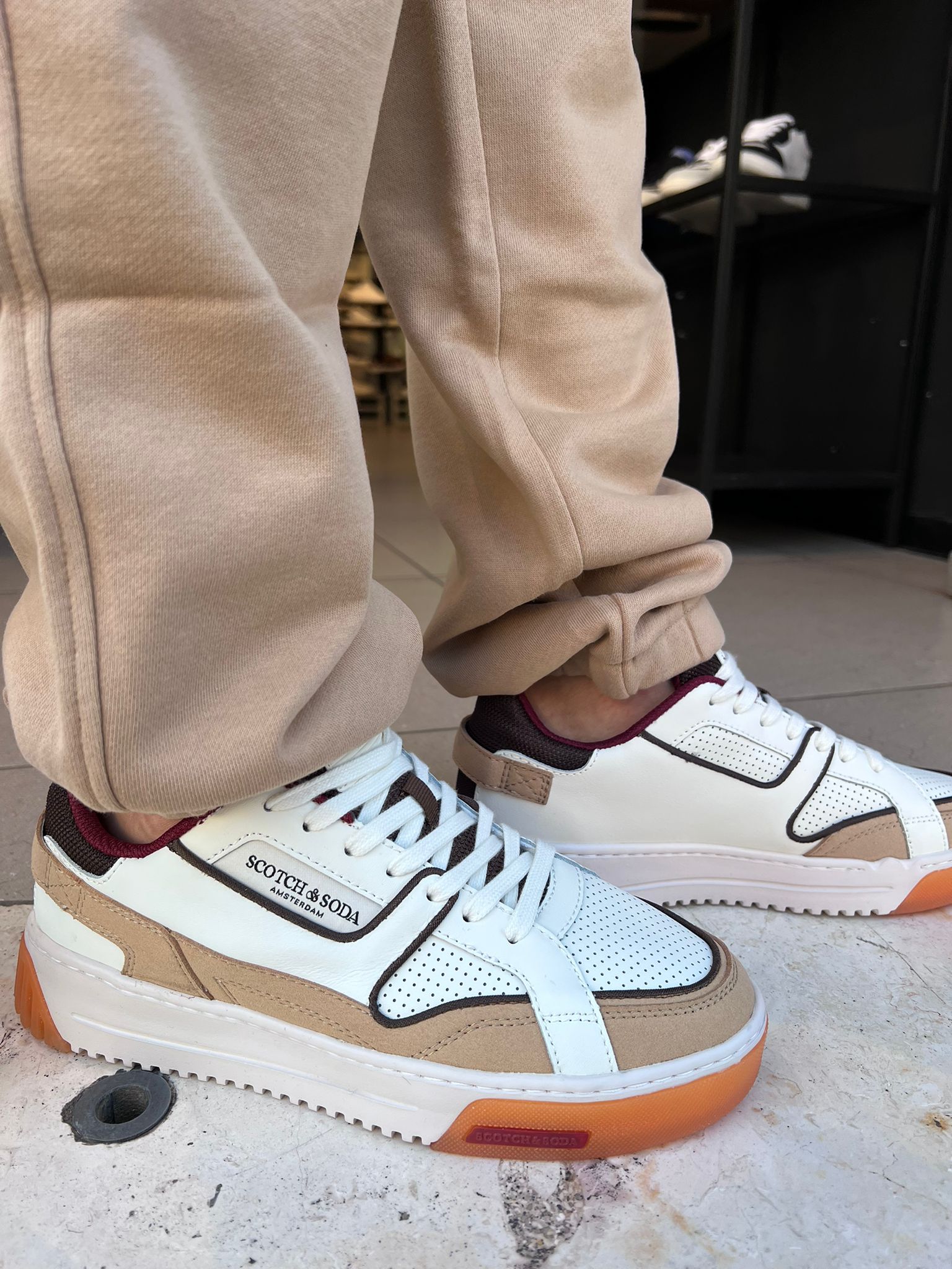 סקוץ’ אנד סודה –  סניקרס NEW CUP