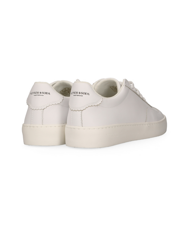 סקוץ’ אנד סודה –  סניקרס PLAKKA 99831930 S29 Leather White